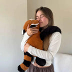Röda pandan Remi