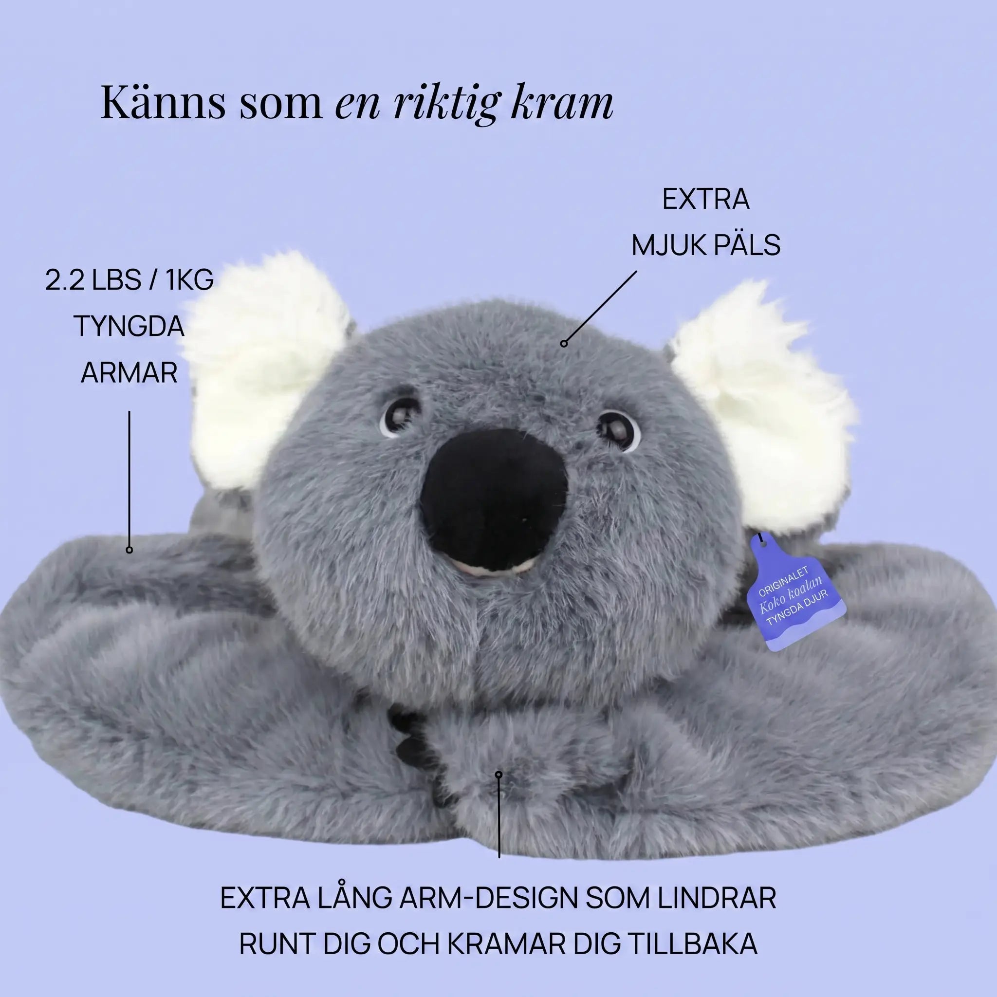 Sömniga koalan Dodo