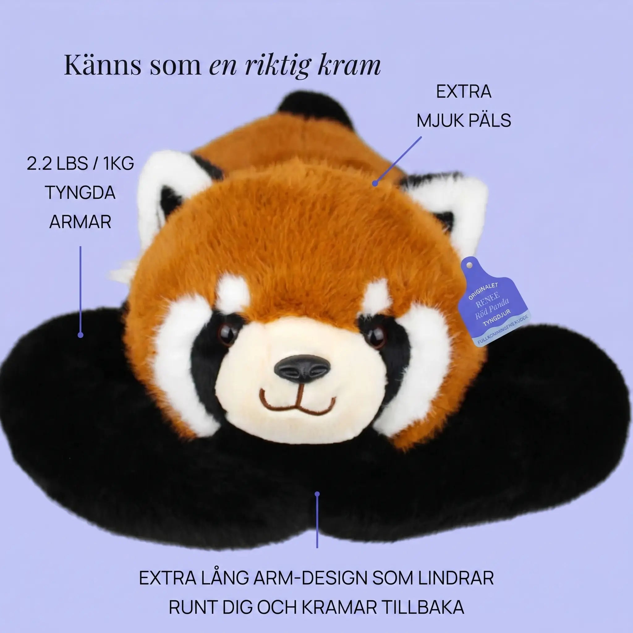 Röda pandan Remi