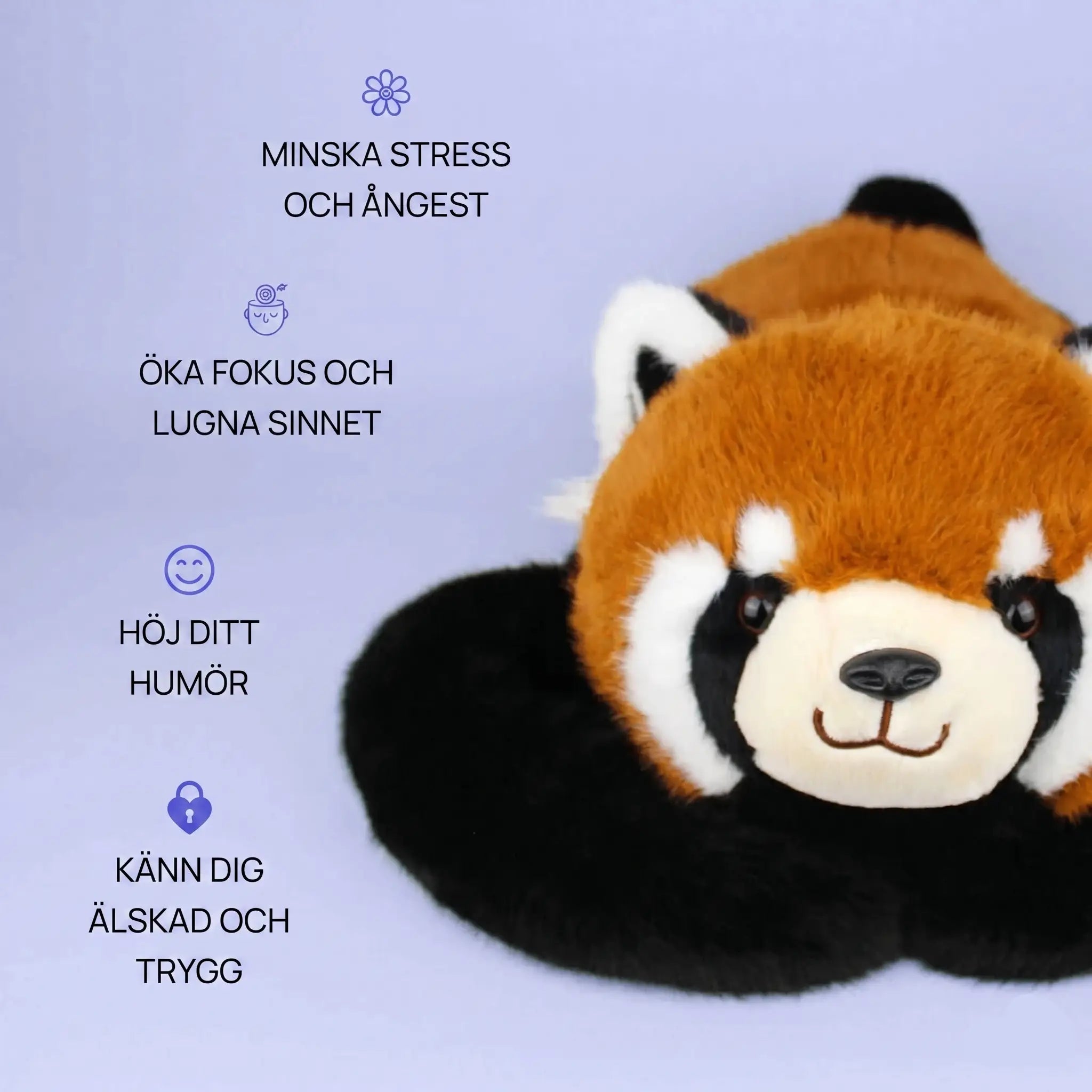 Röda pandan Remi