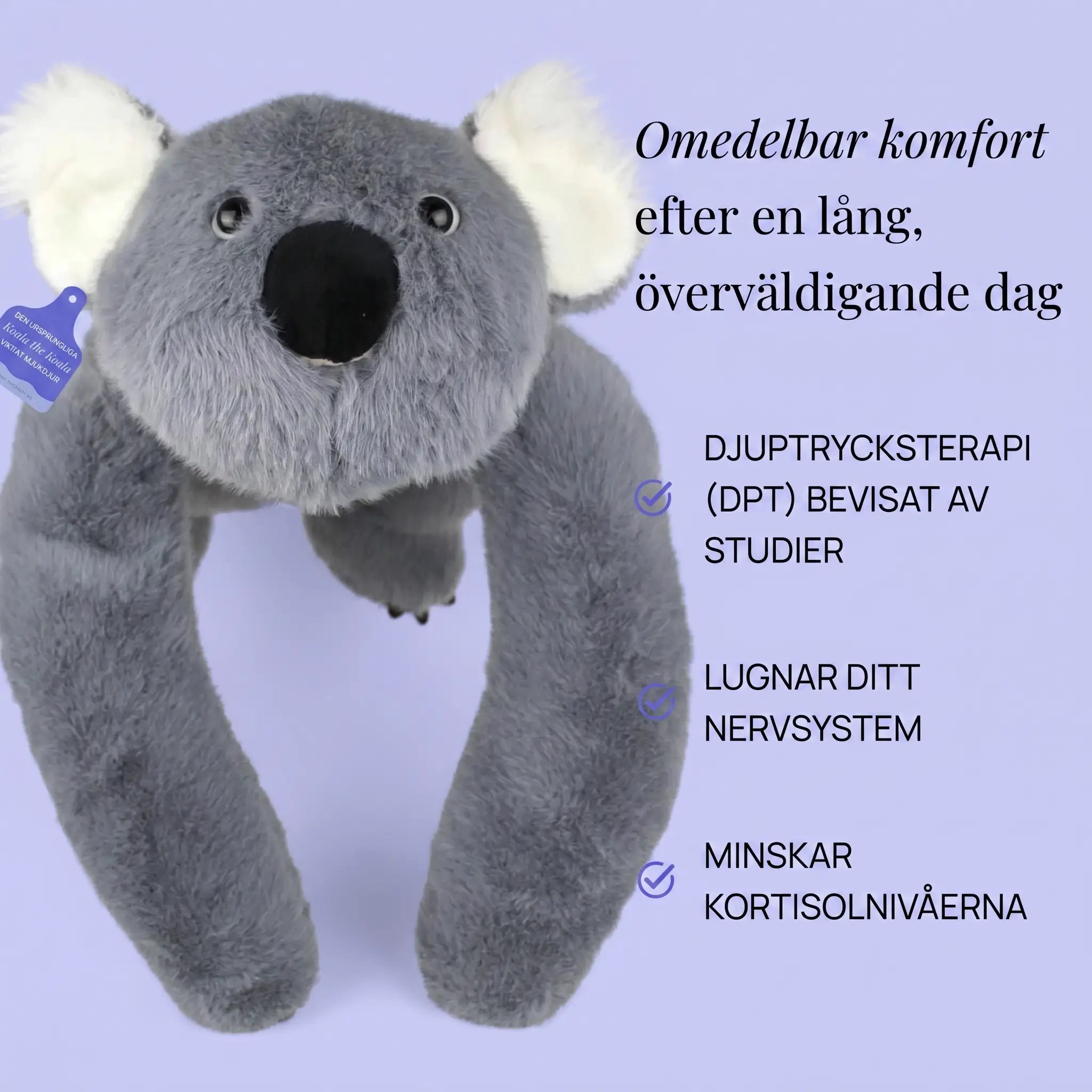 Sömniga koalan Dodo