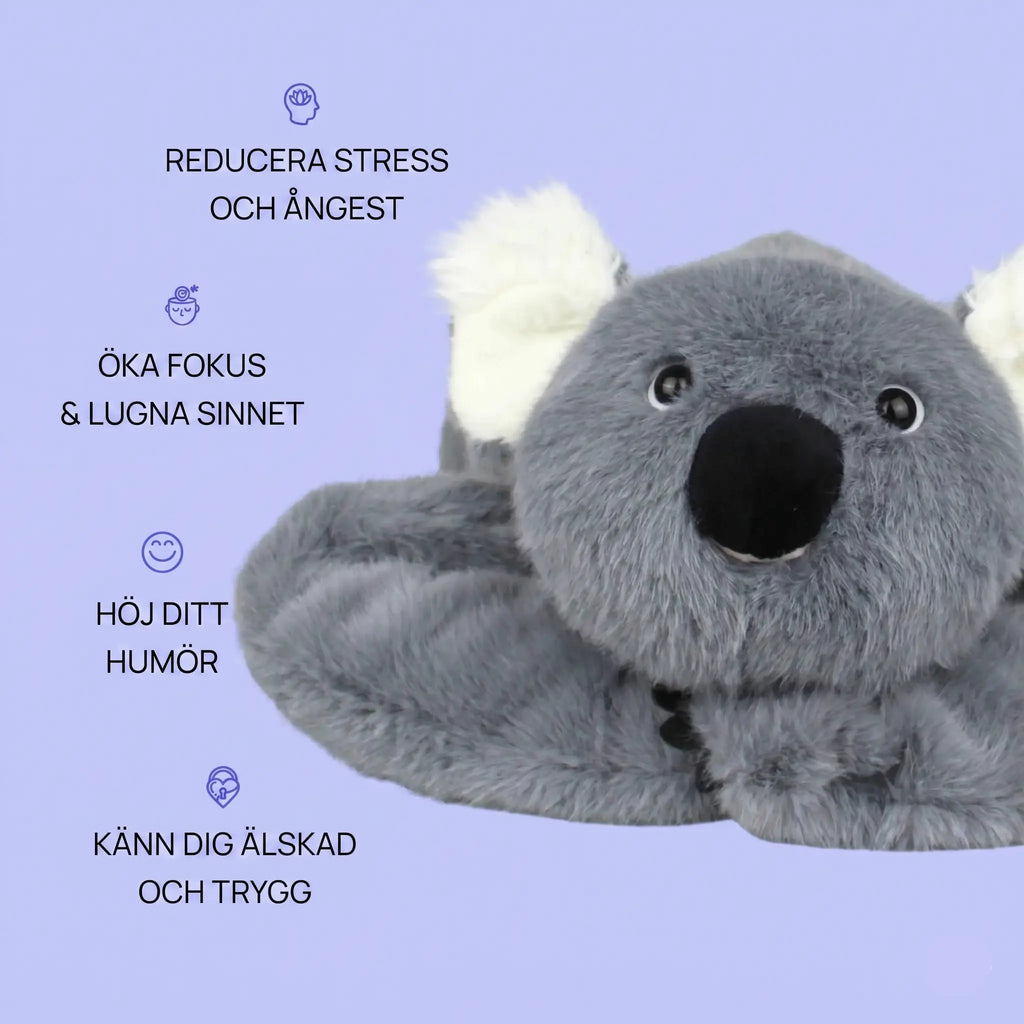 Sömniga koalan Dodo