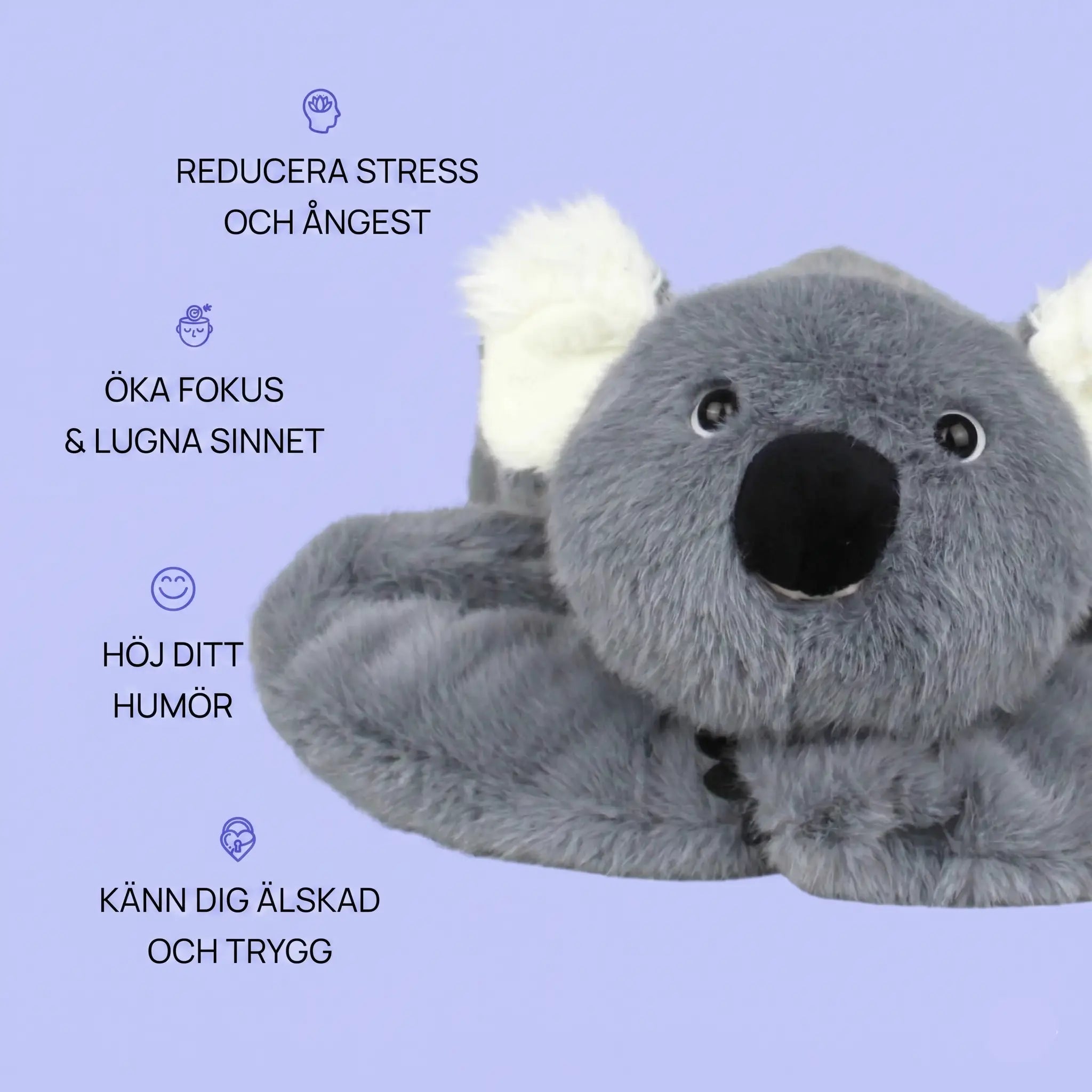Sömniga koalan Dodo