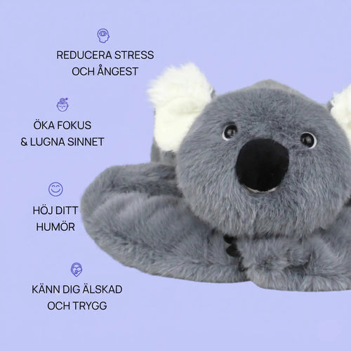 Sömniga koalan Dodo