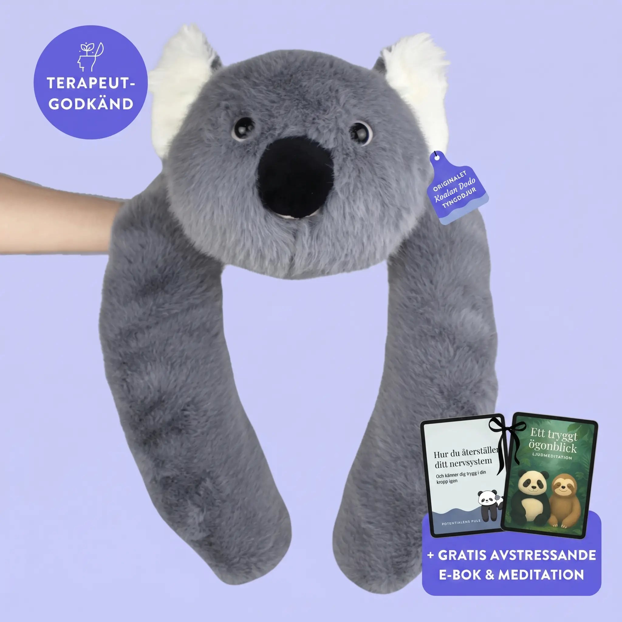 Sömniga koalan Dodo