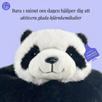 Gulliga pandan Pandi