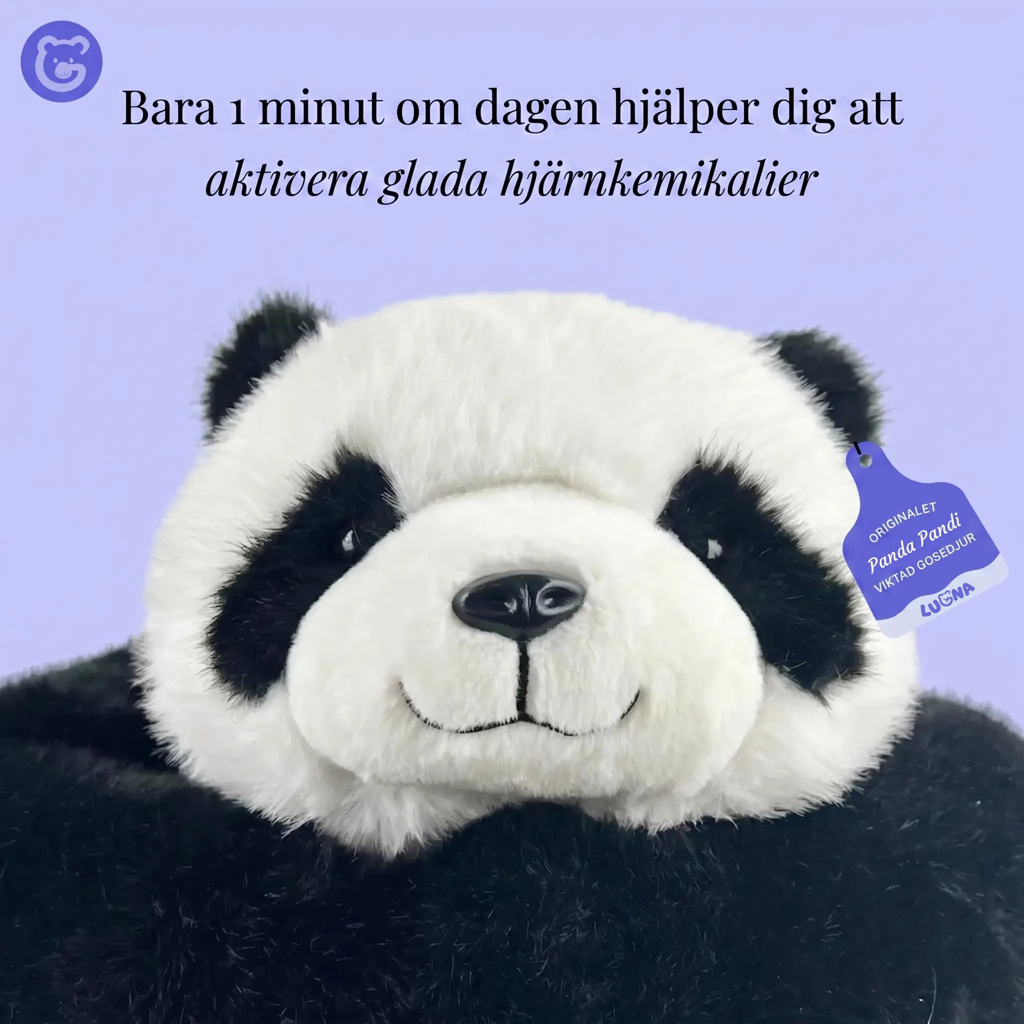 Gulliga pandan Pandi